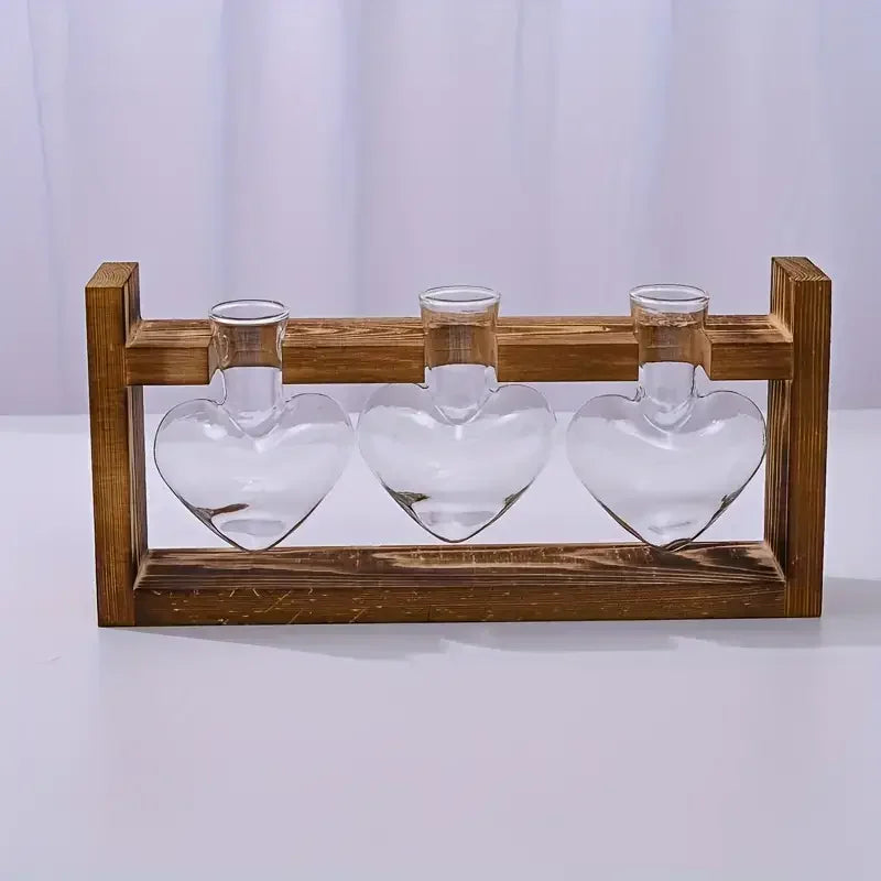 Vasi per piante idroponiche a forma di cuore , vaso in vetro
