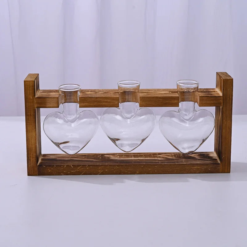 Vasi per piante idroponiche a forma di cuore , vaso in vetro