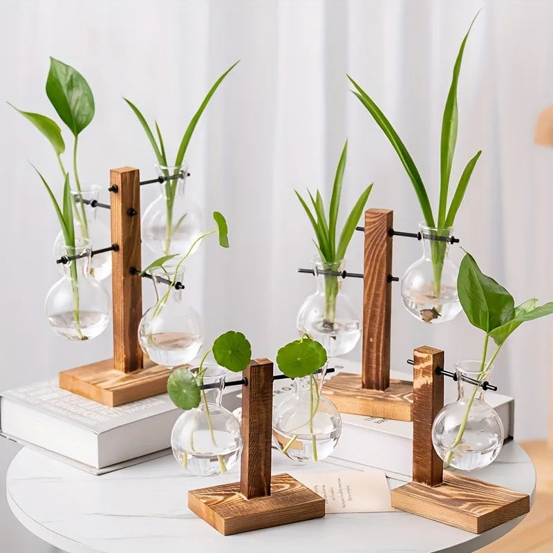 set vasi idroponici  vetro con base in legno a T -Design Minimal- Lusso e Dimora